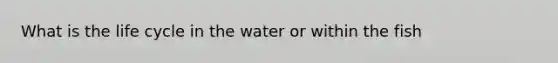 What is the life cycle in the water or within the fish