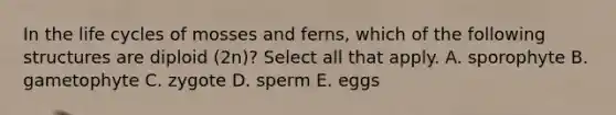 In the life cycles of mosses and ferns, which of the following structures are diploid (2n)? Select all that apply. A. sporophyte B. gametophyte C. zygote D. sperm E. eggs