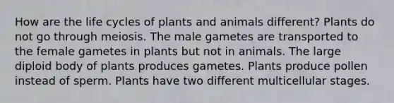 How are the life cycles of plants and animals different? Plants do not go through meiosis. The male gametes are transported to the female gametes in plants but not in animals. The large diploid body of plants produces gametes. Plants produce pollen instead of sperm. Plants have two different multicellular stages.