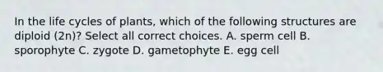 In the life cycles of plants, which of the following structures are diploid (2n)? Select all correct choices. A. sperm cell B. sporophyte C. zygote D. gametophyte E. egg cell