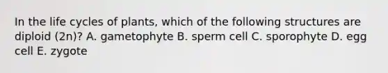 In the life cycles of plants, which of the following structures are diploid (2n)? A. gametophyte B. sperm cell C. sporophyte D. egg cell E. zygote