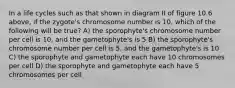 In a life cycles such as that shown in diagram II of figure 10.6 above, if the zygote's chromosome number is 10, which of the following will be true? A) the sporophyte's chromosome number per cell is 10, and the gametophyte's is 5 B) the sporophyte's chromosome number per cell is 5, and the gametophyte's is 10 C) the sporophyte and gametophyte each have 10 chromosomes per cell D) the sporophyte and gametophyte each have 5 chromosomes per cell