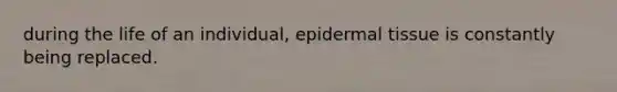 during the life of an individual, epidermal tissue is constantly being replaced.