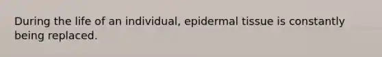 During the life of an individual, epidermal tissue is constantly being replaced.