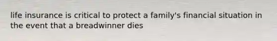 life insurance is critical to protect a family's financial situation in the event that a breadwinner dies