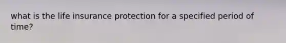 what is the life insurance protection for a specified period of time?