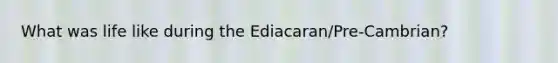 What was life like during the Ediacaran/Pre-Cambrian?