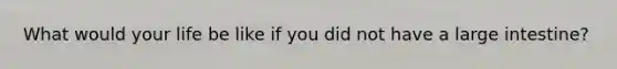 What would your life be like if you did not have a <a href='https://www.questionai.com/knowledge/kGQjby07OK-large-intestine' class='anchor-knowledge'>large intestine</a>?