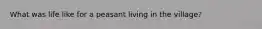 What was life like for a peasant living in the village?