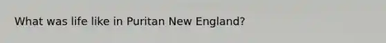 What was life like in Puritan New England?