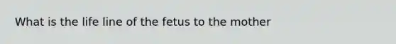 What is the life line of the fetus to the mother