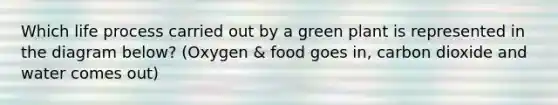 Which life process carried out by a green plant is represented in the diagram below? (Oxygen & food goes in, carbon dioxide and water comes out)