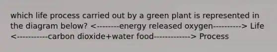 which life process carried out by a green plant is represented in the diagram below? Life Process