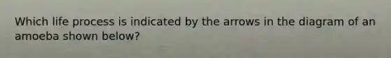 Which life process is indicated by the arrows in the diagram of an amoeba shown below?