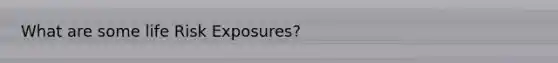 What are some life Risk Exposures?