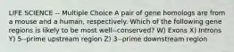 LIFE SCIENCE -- Multiple Choice A pair of gene homologs are from a mouse and a human, respectively. Which of the following gene regions is likely to be most well--conserved? W) Exons X) Introns Y) 5--prime upstream region Z) 3--prime downstream region