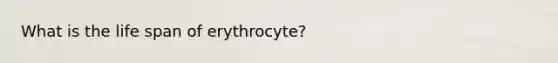 What is the life span of erythrocyte?