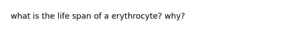 what is the life span of a erythrocyte? why?