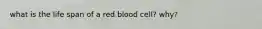 what is the life span of a red blood cell? why?