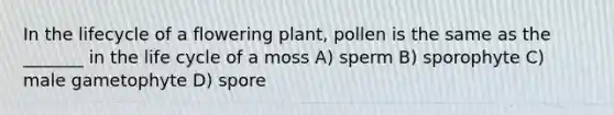 In the lifecycle of a flowering plant, pollen is the same as the _______ in the life cycle of a moss A) sperm B) sporophyte C) male gametophyte D) spore