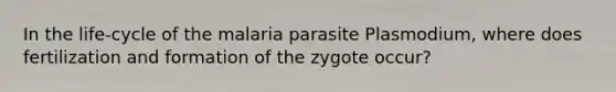 In the life-cycle of the malaria parasite Plasmodium, where does fertilization and formation of the zygote occur?