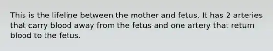 This is the lifeline between the mother and fetus. It has 2 arteries that carry blood away from the fetus and one artery that return blood to the fetus.