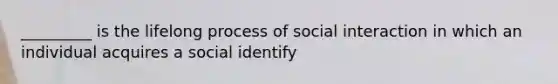 _________ is the lifelong process of social interaction in which an individual acquires a social identify