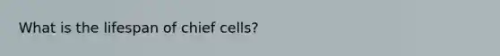 What is the lifespan of chief cells?