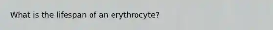 What is the lifespan of an erythrocyte?