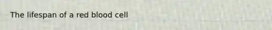 The lifespan of a red blood cell