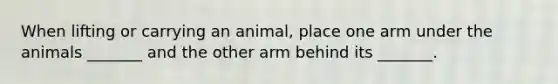 When lifting or carrying an animal, place one arm under the animals _______ and the other arm behind its _______.