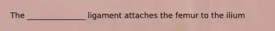 The _______________ ligament attaches the femur to the ilium