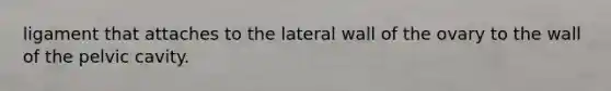 ligament that attaches to the lateral wall of the ovary to the wall of the pelvic cavity.