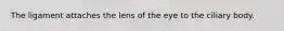 The ligament attaches the lens of the eye to the ciliary body.
