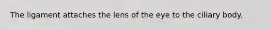 The ligament attaches the lens of the eye to the ciliary body.