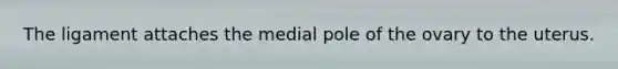 The ligament attaches the medial pole of the ovary to the uterus.