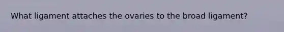 What ligament attaches the ovaries to the broad ligament?