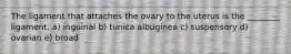 The ligament that attaches the ovary to the uterus is the ________ ligament. a) inguinal b) tunica albuginea c) suspensory d) ovarian e) broad
