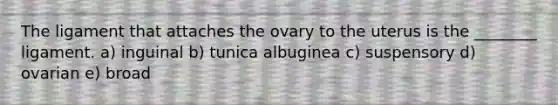 The ligament that attaches the ovary to the uterus is the ________ ligament. a) inguinal b) tunica albuginea c) suspensory d) ovarian e) broad