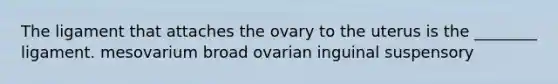 The ligament that attaches the ovary to the uterus is the ________ ligament. mesovarium broad ovarian inguinal suspensory