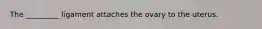 The _________ ligament attaches the ovary to the uterus.