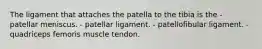 The ligament that attaches the patella to the tibia is the - patellar meniscus. - patellar ligament. - patellofibular ligament. - quadriceps femoris muscle tendon.