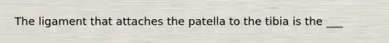 The ligament that attaches the patella to the tibia is the ___