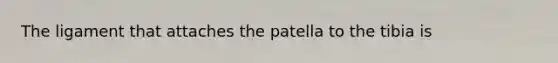 The ligament that attaches the patella to the tibia is