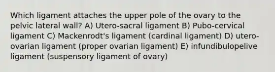 Which ligament attaches the upper pole of the ovary to the pelvic lateral wall? A) Utero-sacral ligament B) Pubo-cervical ligament C) Mackenrodt's ligament (cardinal ligament) D) utero-ovarian ligament (proper ovarian ligament) E) infundibulopelive ligament (suspensory ligament of ovary)