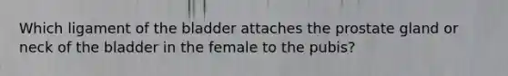 Which ligament of the bladder attaches the prostate gland or neck of the bladder in the female to the pubis?