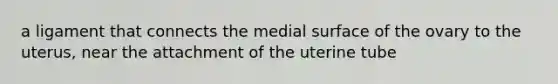 a ligament that connects the medial surface of the ovary to the uterus, near the attachment of the uterine tube