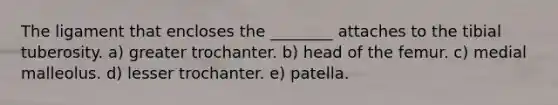 The ligament that encloses the ________ attaches to the tibial tuberosity. a) greater trochanter. b) head of the femur. c) medial malleolus. d) lesser trochanter. e) patella.