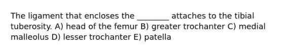 The ligament that encloses the ________ attaches to the tibial tuberosity. A) head of the femur B) greater trochanter C) medial malleolus D) lesser trochanter E) patella