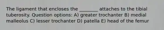 The ligament that encloses the ________ attaches to the tibial tuberosity. Question options: A) greater trochanter B) medial malleolus C) lesser trochanter D) patella E) head of the femur